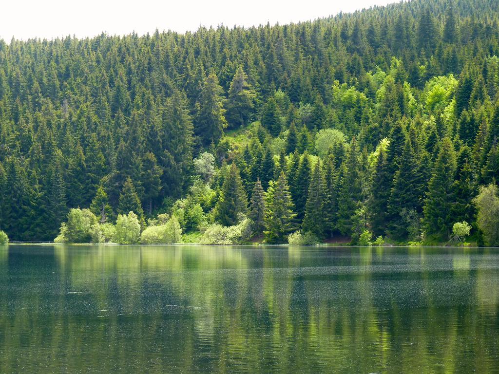 Aux 500 Diables Eco Lodge - Hotel Chambon-sur-Lac Kültér fotó